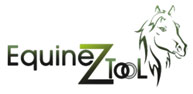 Equinez Tools Corp