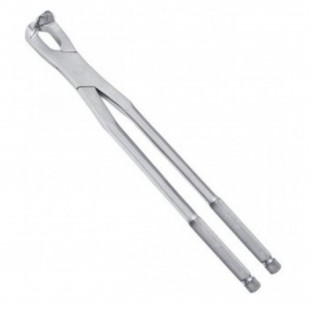 Molar Spreader For Pony