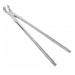Four Roots New Forceps 19