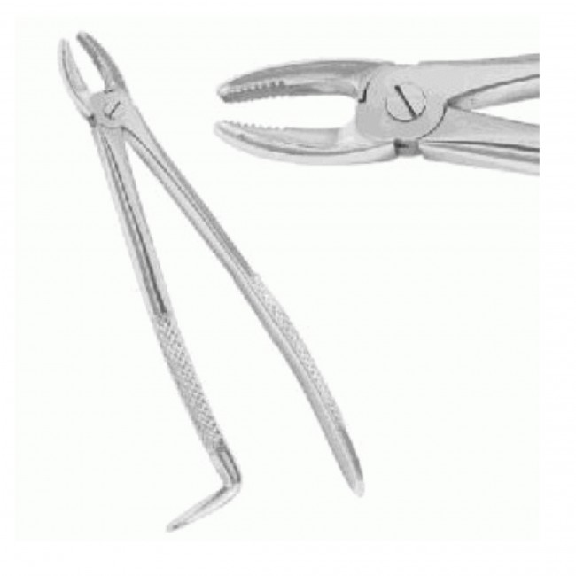 91/2 Stainless Steel Forceps