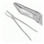 12 Stainless steel forceps